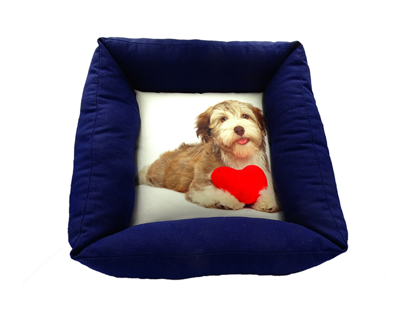 Accessori per cani e gatti