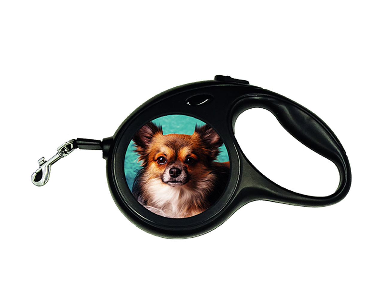 Accessori per cani e gatti
